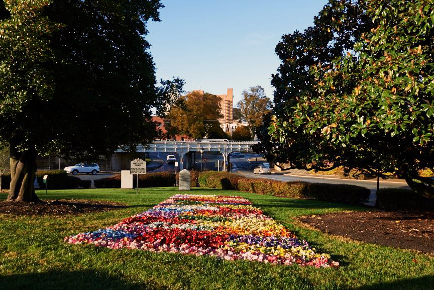 10000-flowers-for-willie-grimes-terry-hardy-installation-2013-foto2