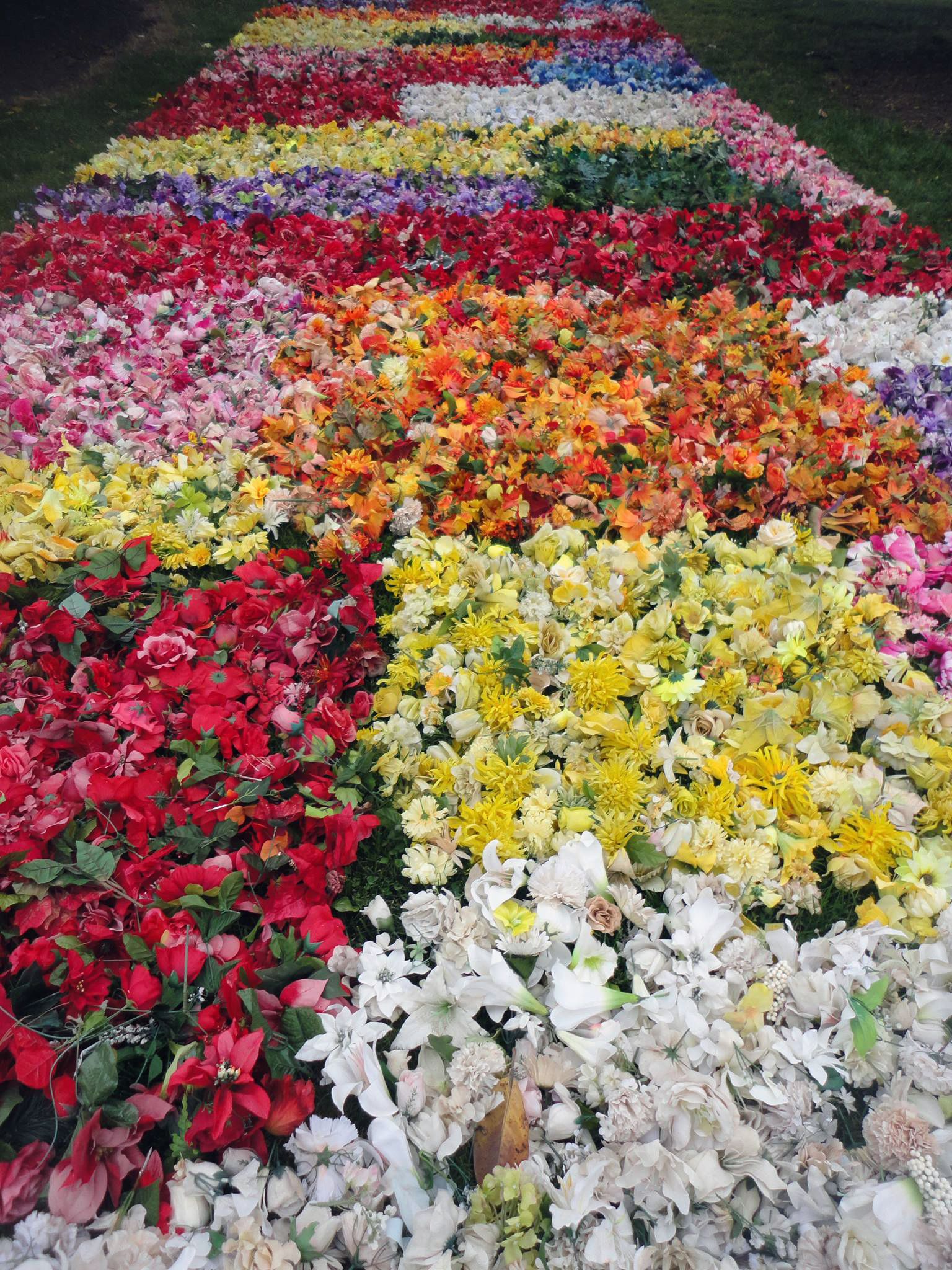 10,000 Flowers for Willie Grimes