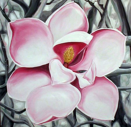 Magnolia